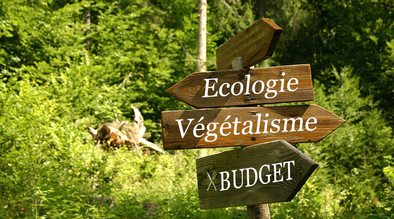 ecologie-budget-vegetalisme ma conscience écolo